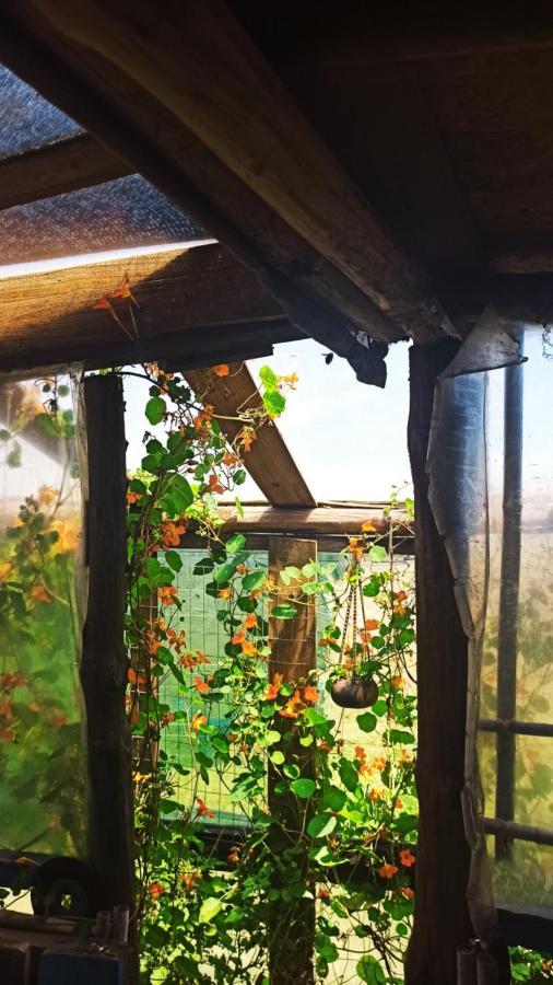 Bunker Hostel Cabo Polonio Ngoại thất bức ảnh