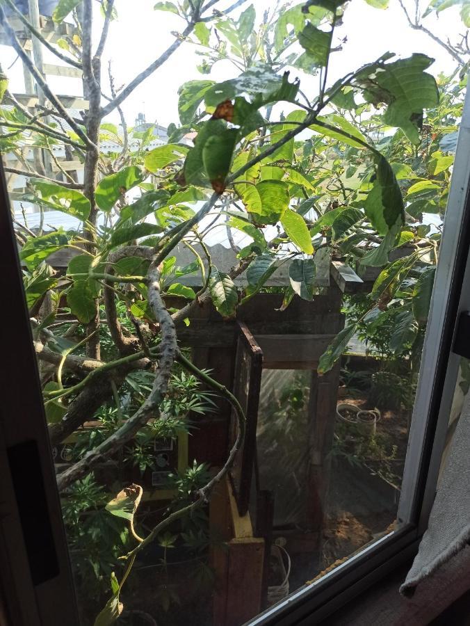 Bunker Hostel Cabo Polonio Ngoại thất bức ảnh